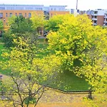 Essen City Suites Hotel
