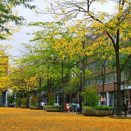 Essen City Suites ホテル 3*