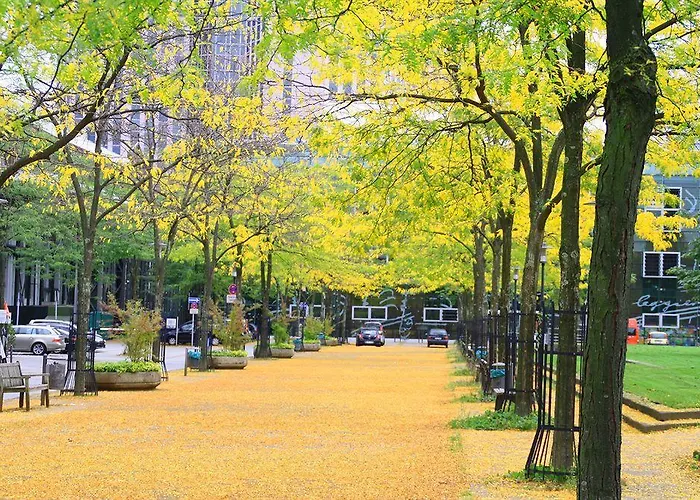 Essen City Suites 3* 에센